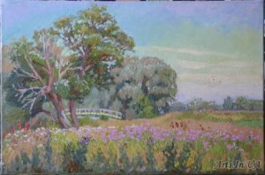 Вид Переяслова