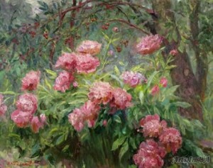 Півонії в моєму саду