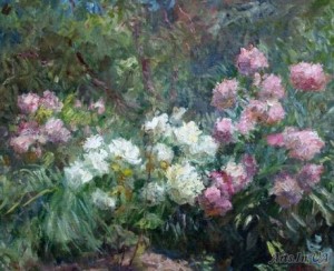 Півонії, освітлені сонцем