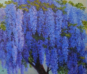 Wisteria tree.