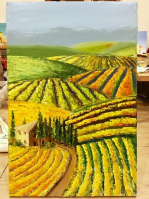 Sunny vineyards