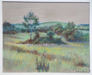 У Ненудному