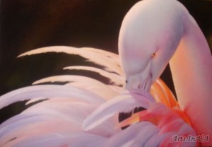 Рожевий фламінго