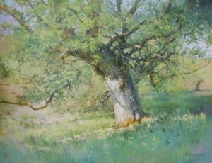 Дерево в долині.