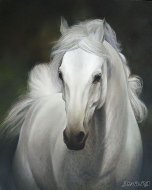 Краса-грація