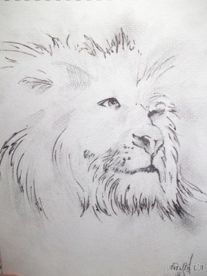 lion