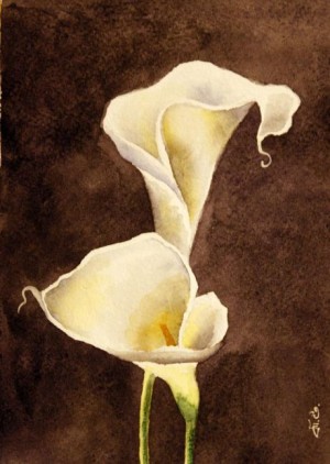 Залишайтеся