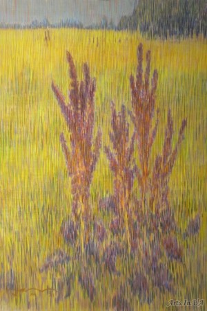 Кінський щавель