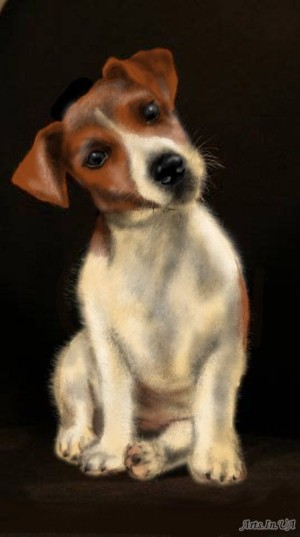 Джек розсів