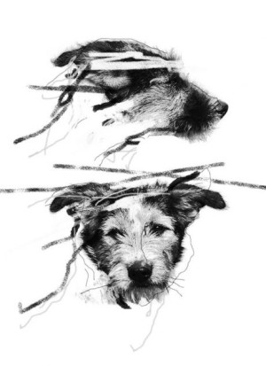 Кулька\варіант\