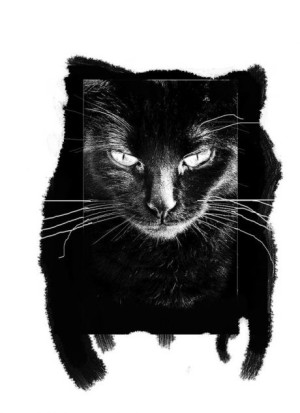 кіт Бегемот