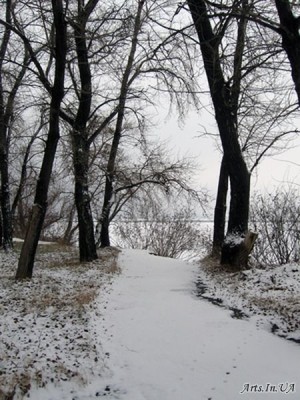 Зимовий вечір