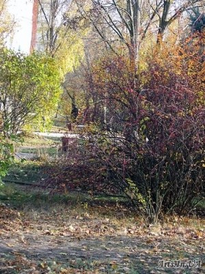 осінній день