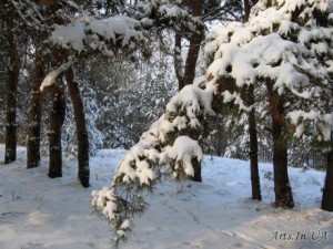 Зимовий вечір