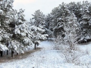 пори року. Зима