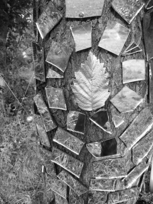 відображення світів